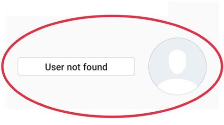 What Does User Not Found Instagram Error Mean? [Explained 2022]
